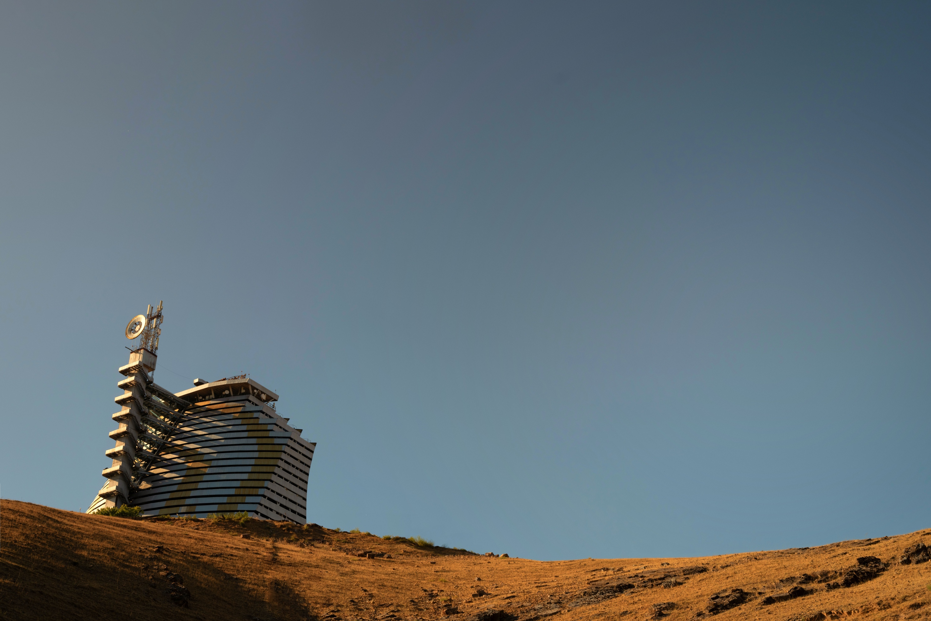 Heliocomplex 'Sun'