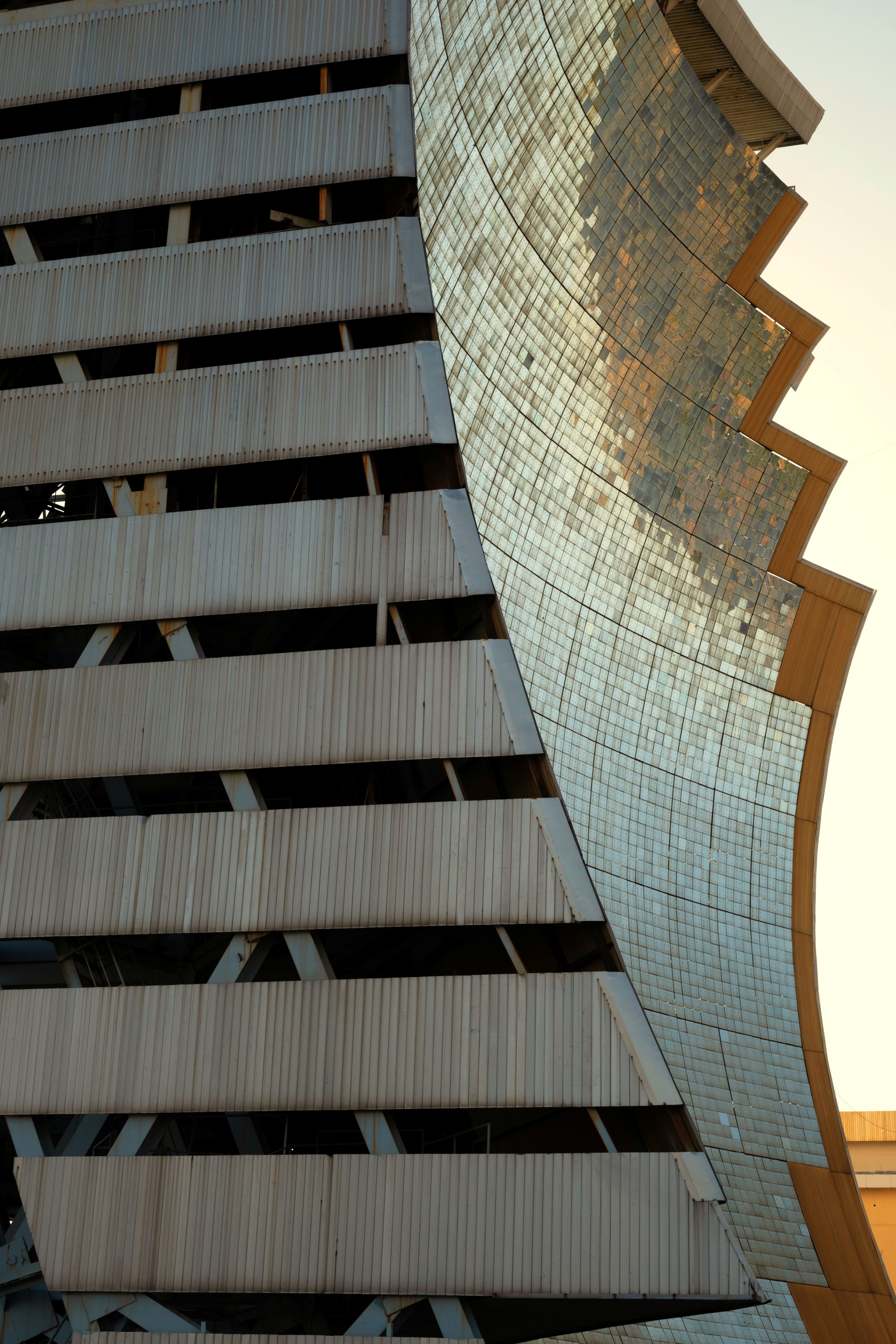 Heliocomplex 'Sun'