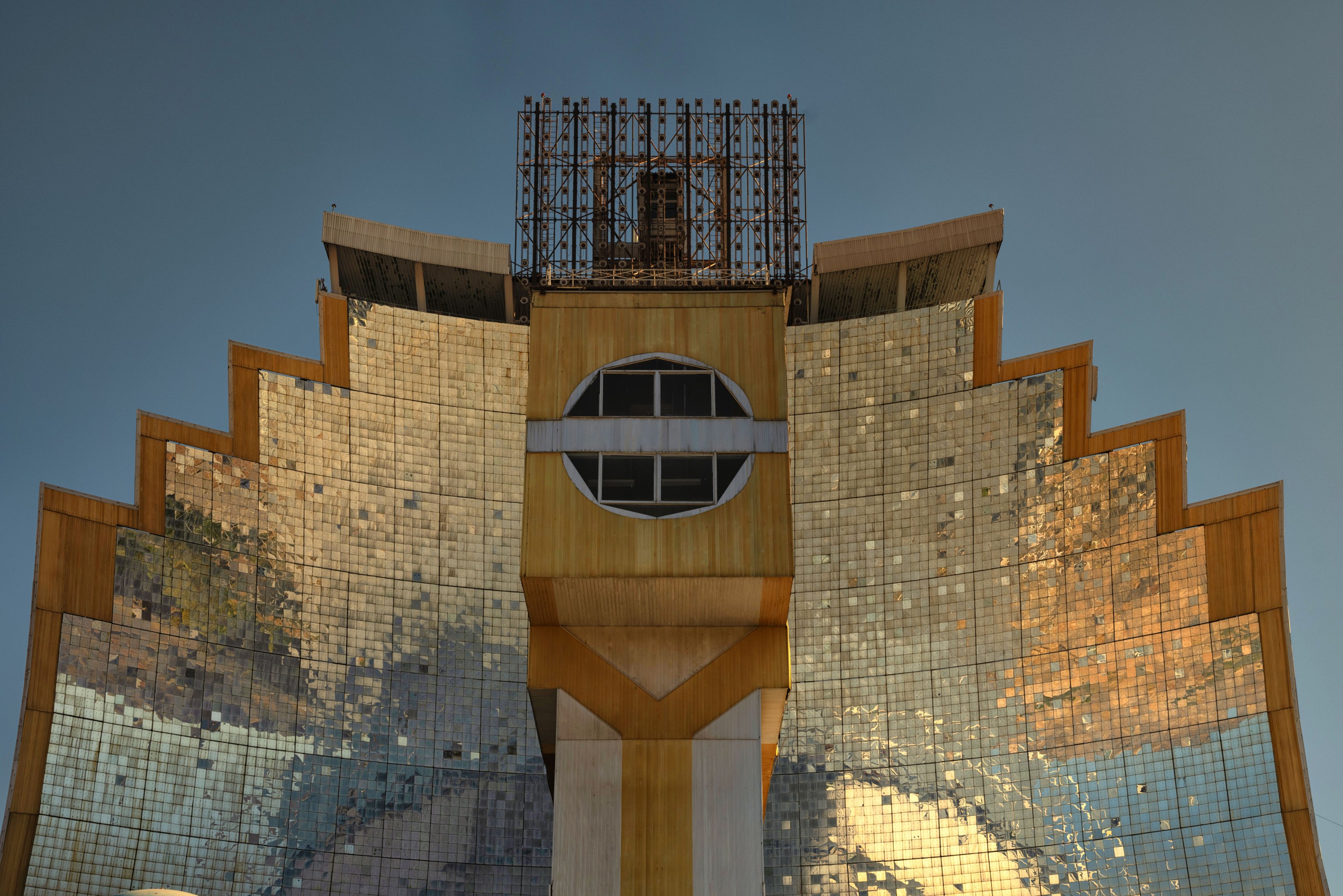 Heliocomplex 'Sun'